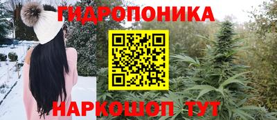 прущие крисы Усть-Илимск