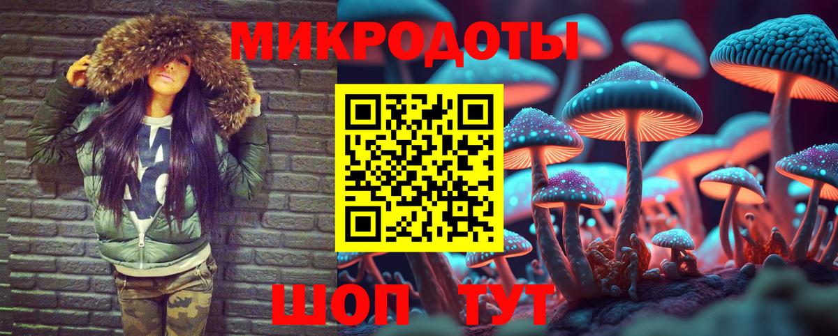 Псилоцибиновые грибы ЛСД Рубцовск